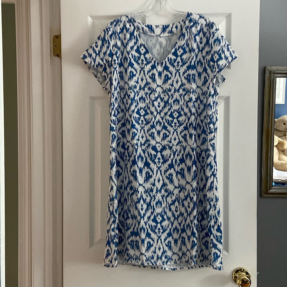 Blue and white Ikat pattern dress